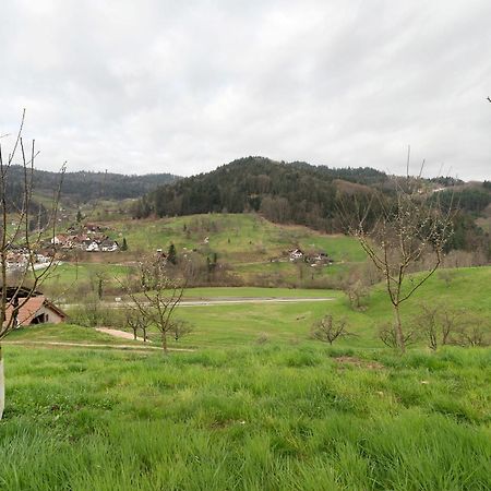 Ottenhofen im SchwarzwaldHaus Am Schroffenアパートメント エクステリア 写真