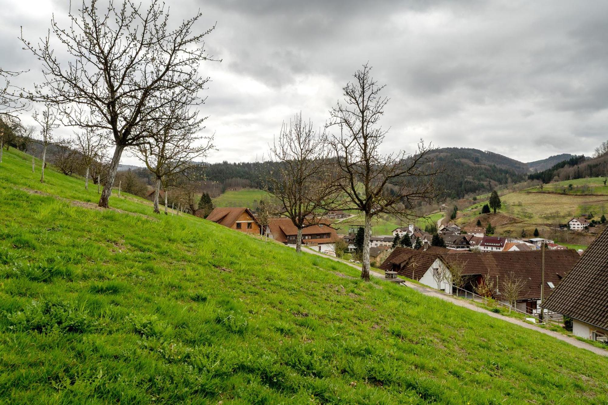 Ottenhofen im SchwarzwaldHaus Am Schroffenアパートメント エクステリア 写真